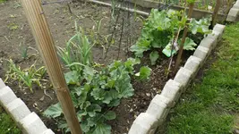 DSCF1668.webp