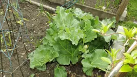 DSCF1667.webp