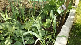 DSCF1671.webp