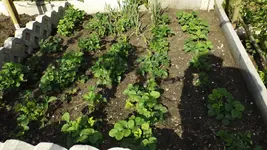 DSCF1676.webp