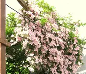 IMG_4416.webp