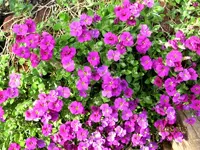 IMG_4404.webp