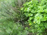 IMG_0717.webp