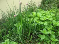 IMG_0718.webp