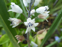 P1350550.webp