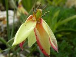 DSCN7802.jpg