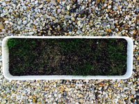 Behälter 5 - 04.05.2015.webp