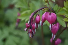 _DSC8158.webp