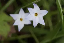 _DSC8163.webp