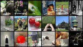 April 2015 Gegensaetze (2) v.webp