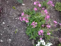 CAM00291.webp