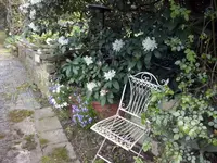 CAM00229.webp