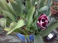 CAM00230.webp