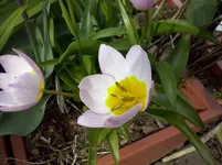 CAM00231.webp
