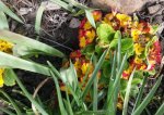 Garten4.5 010.jpg