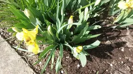 Garten4.5 015.jpg