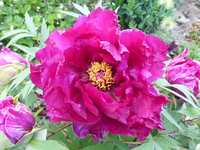 P1360131.webp