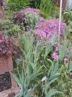 DSCN2272.webp