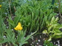 DSCN2258.webp