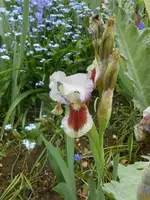 DSCN2257.webp