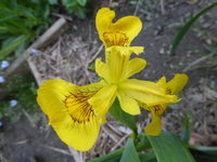 P1360244.webp