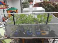DSCN2293.webp