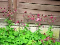 IMG_4420.webp