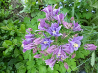 P1360260.webp