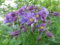 P1360263.webp