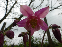 P1350755.webp