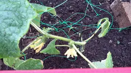 20150505_130008.webp