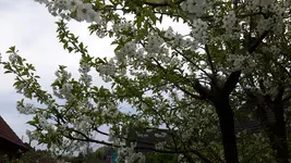 20150505_130454.webp