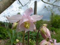P1350590.webp