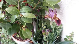 20150505_130725.webp