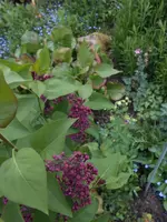 DSCN2291.jpg