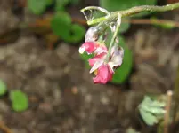 003_1067x800.JPG