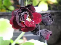 004_1067x800.webp