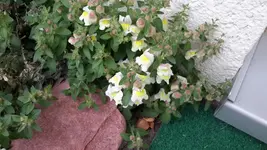 20150505_130714.webp