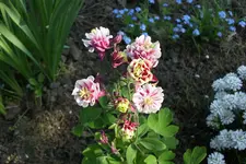 DSCI0916.webp