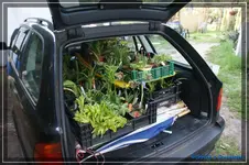 comp_DSC03287.webp