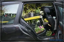 comp_DSC03288.webp