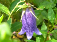 DSCN8549.webp