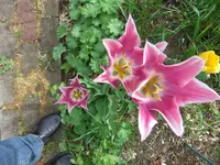 011.webp