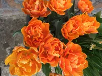 002.webp
