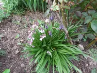 004.webp