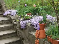 027.webp