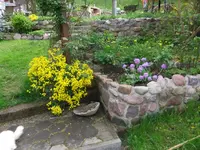 010.jpg