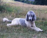 Cleo 07.jpg