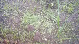 20150506_065525.webp