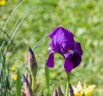 IMG_7306.jpg